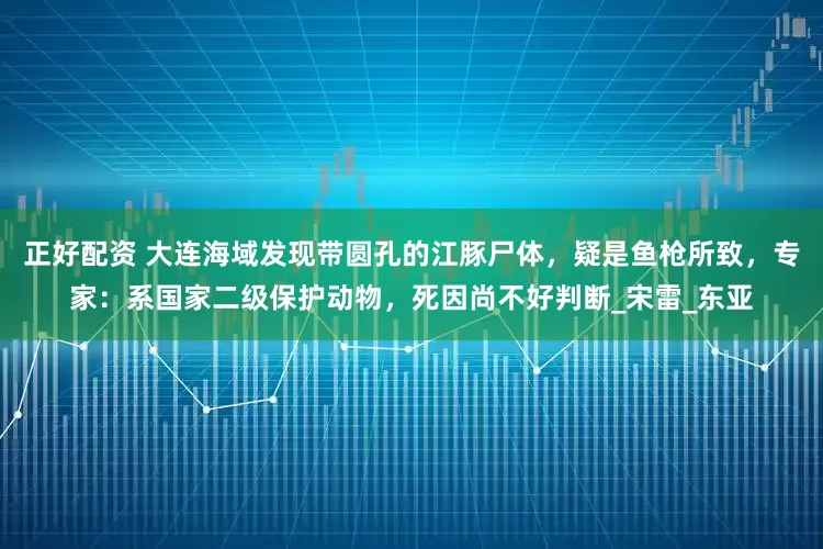 正好配资 大连海域发现带圆孔的江豚尸体，疑是鱼枪所致，专家：系国家二级保护动物，死因尚不好判断_宋雷_东亚