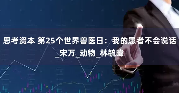 思考资本 第25个世界兽医日：我的患者不会说话_宋万_动物_林毓暐
