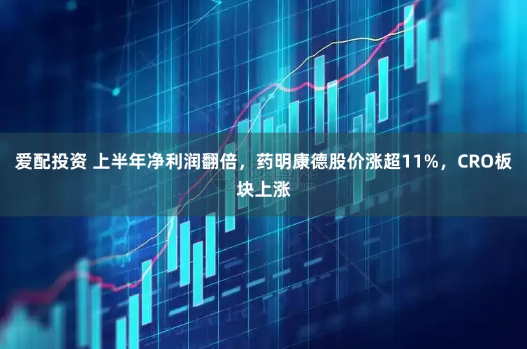 爱配投资 上半年净利润翻倍，药明康德股价涨超11%，CRO板块上涨