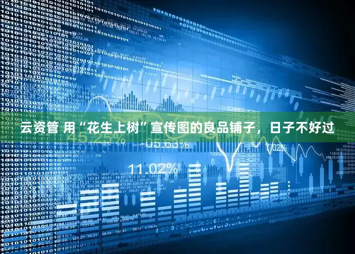 云资管 用“花生上树”宣传图的良品铺子，日子不好过
